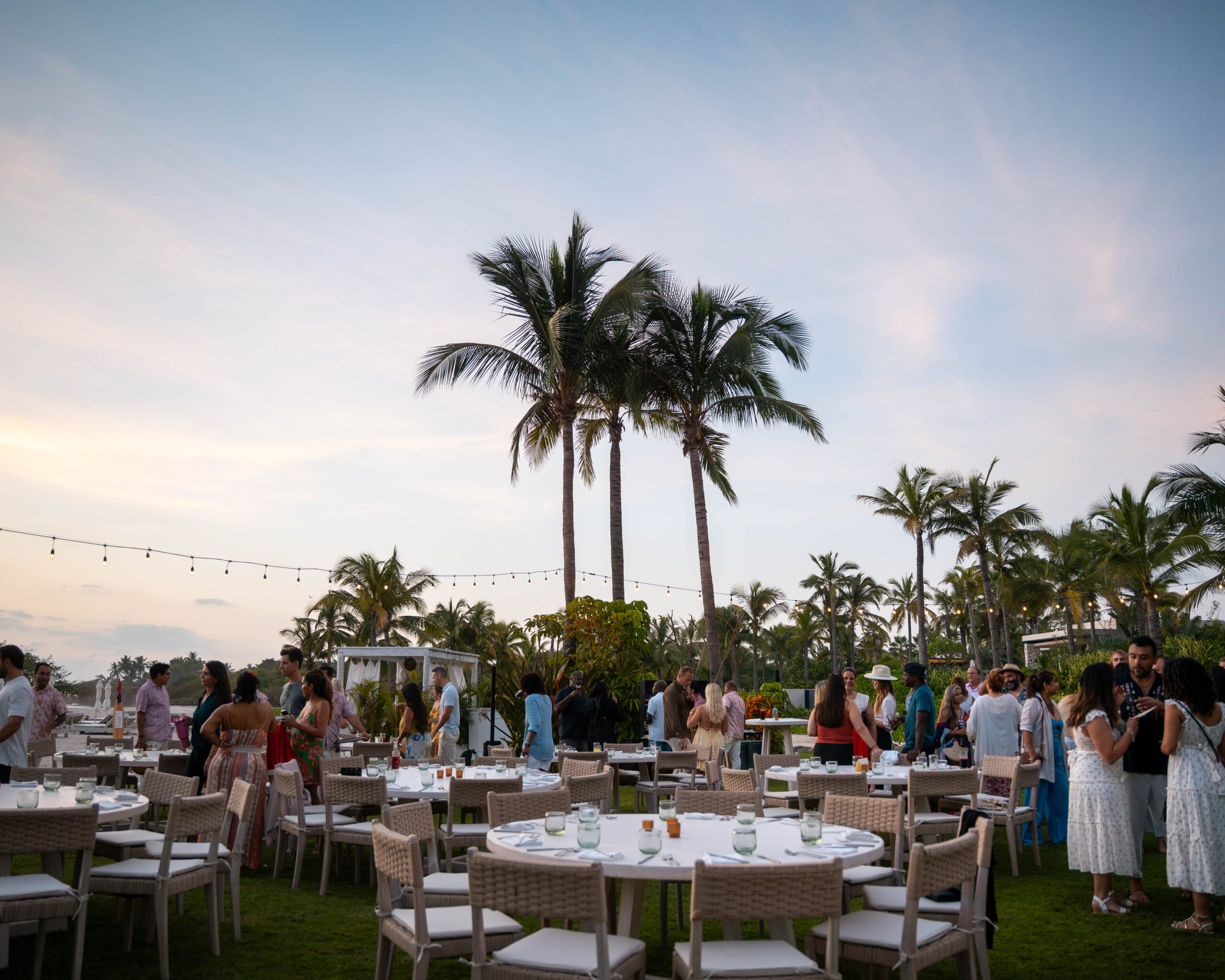 Guests gathering for dinner beneath the palms at dusk